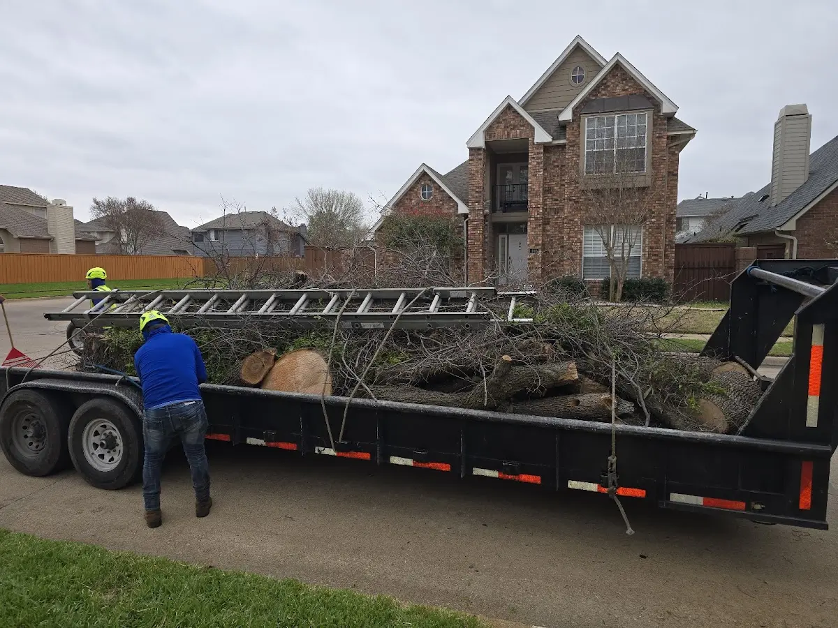 Expert Lot Clearing with proper safety equipment in Frederick